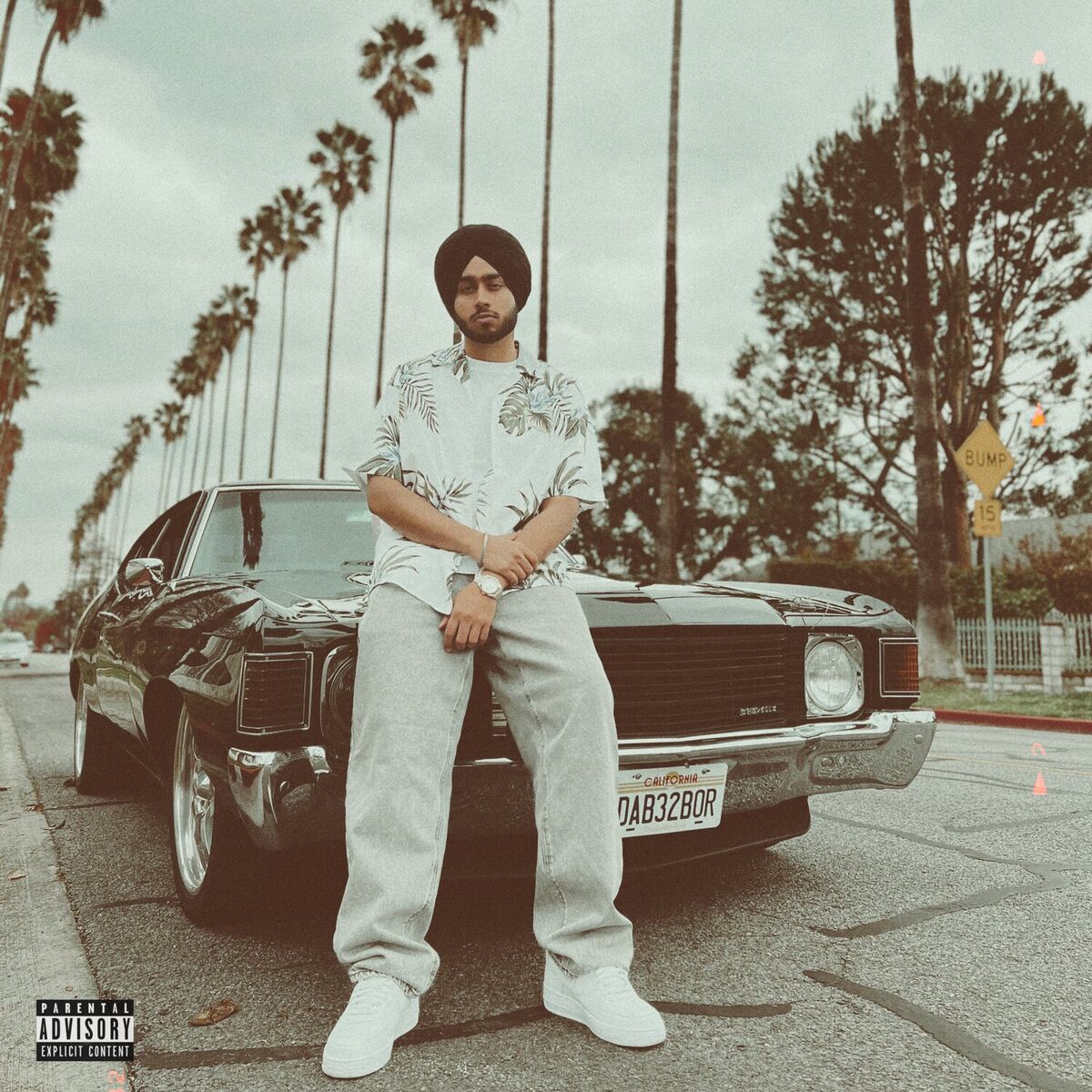 Album cover of Cheques