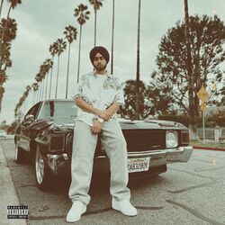 Cover of Still Rollin