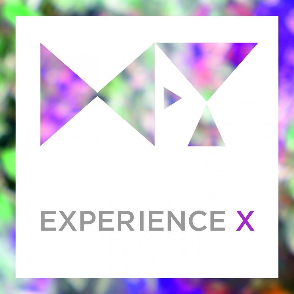 Picture of Experience X