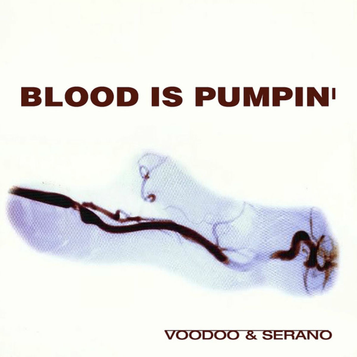 Album cover of Blood Is Pumpin'