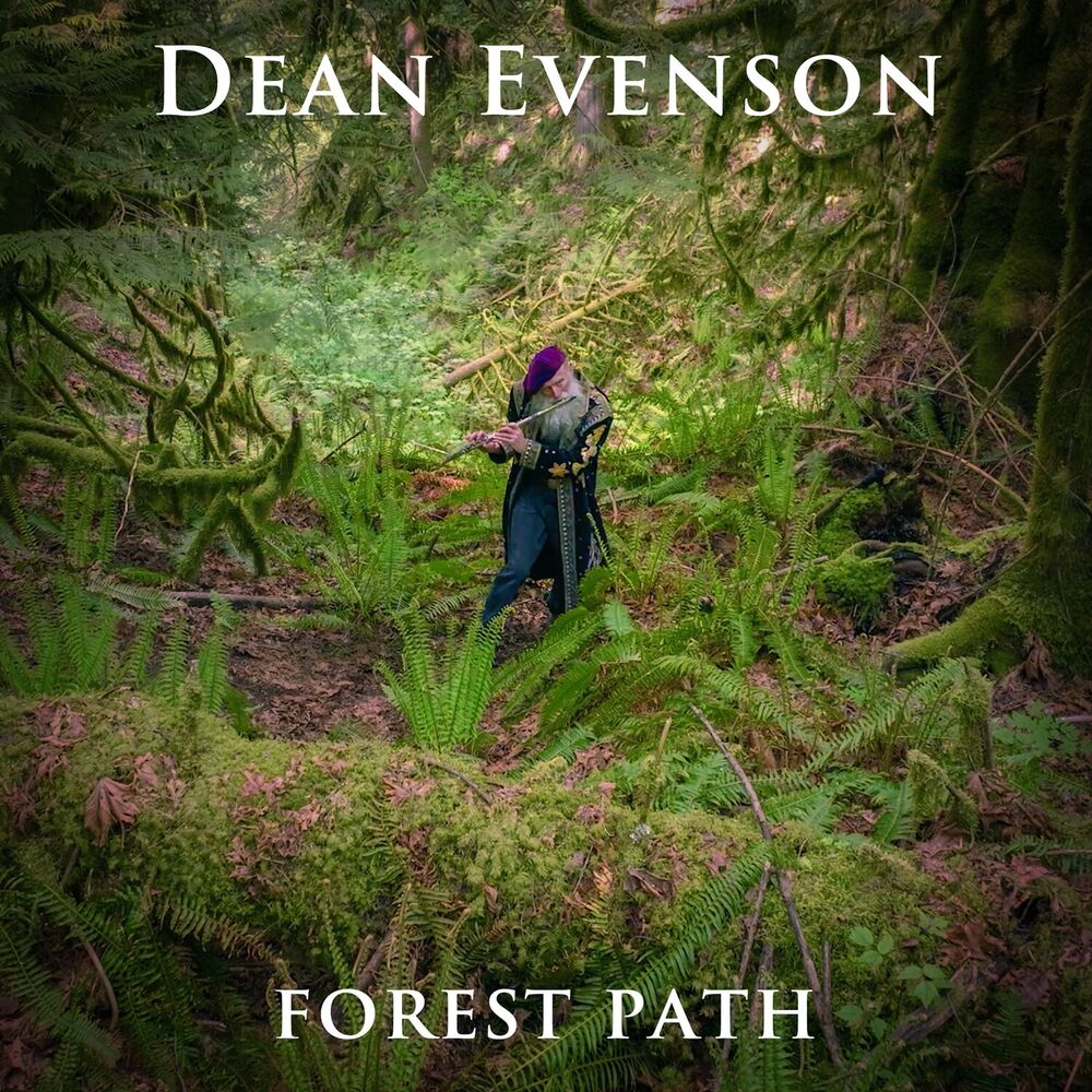 Picture of Forest Path