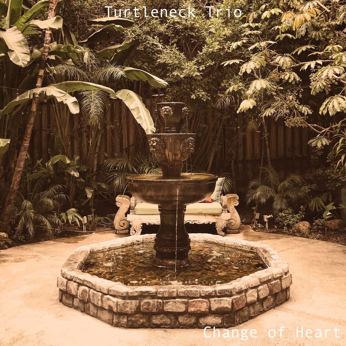 Album cover of Change of Heart
