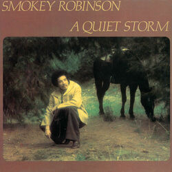 Cover of A Quiet Storm
