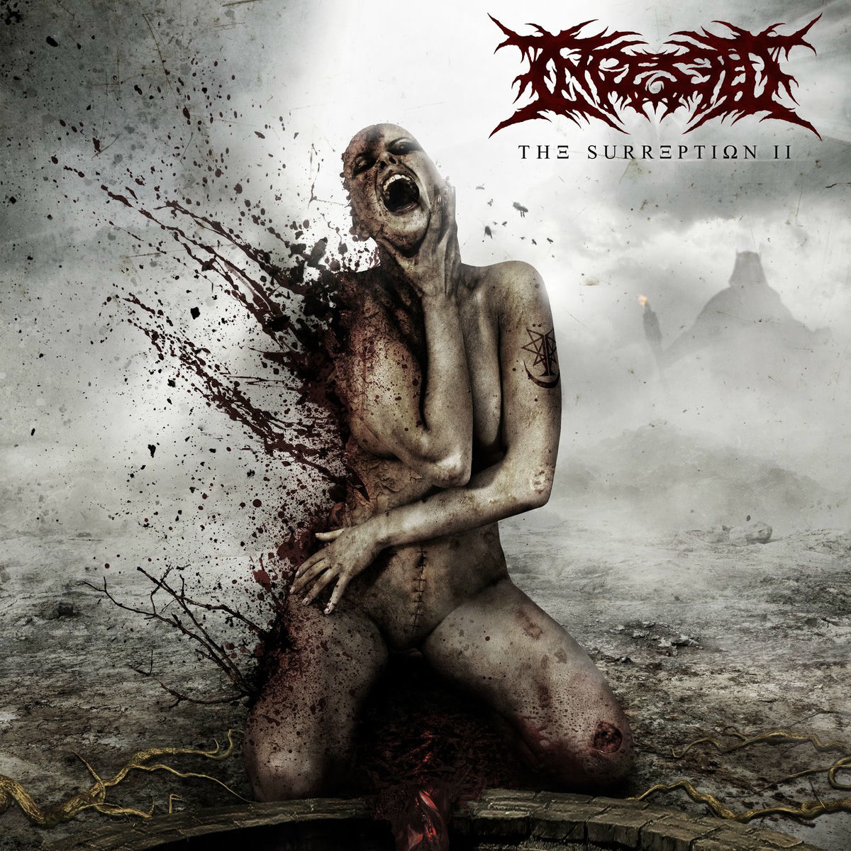 Album cover of Crowning the Abomination