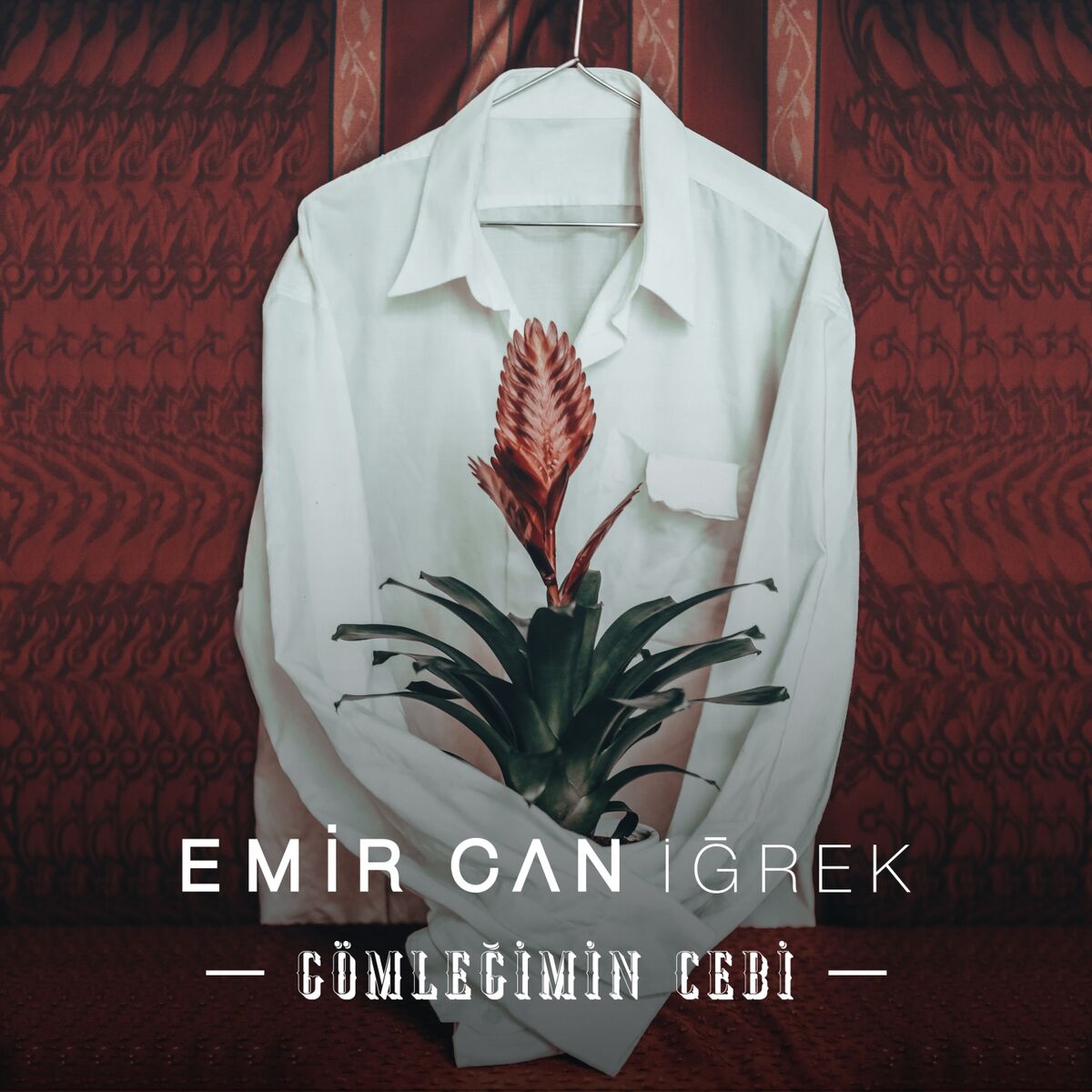 Album cover of Gömleğimin Cebi