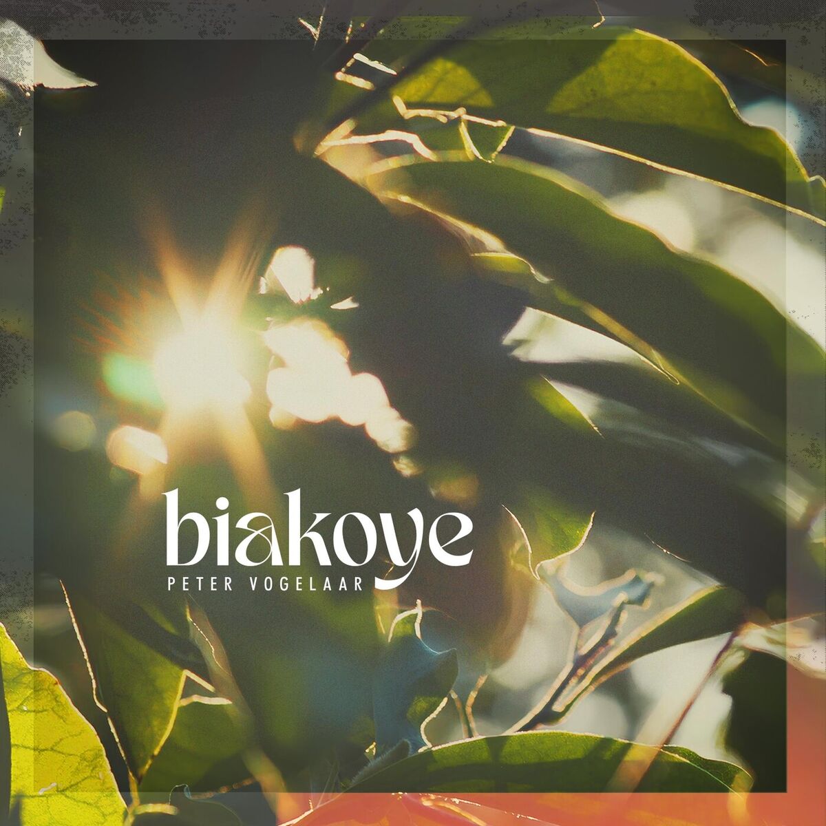 Album cover of Biakoye