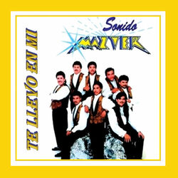 Cover of Te Llevo En Mi