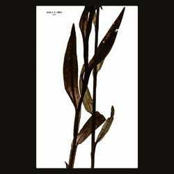 Cover of Sult