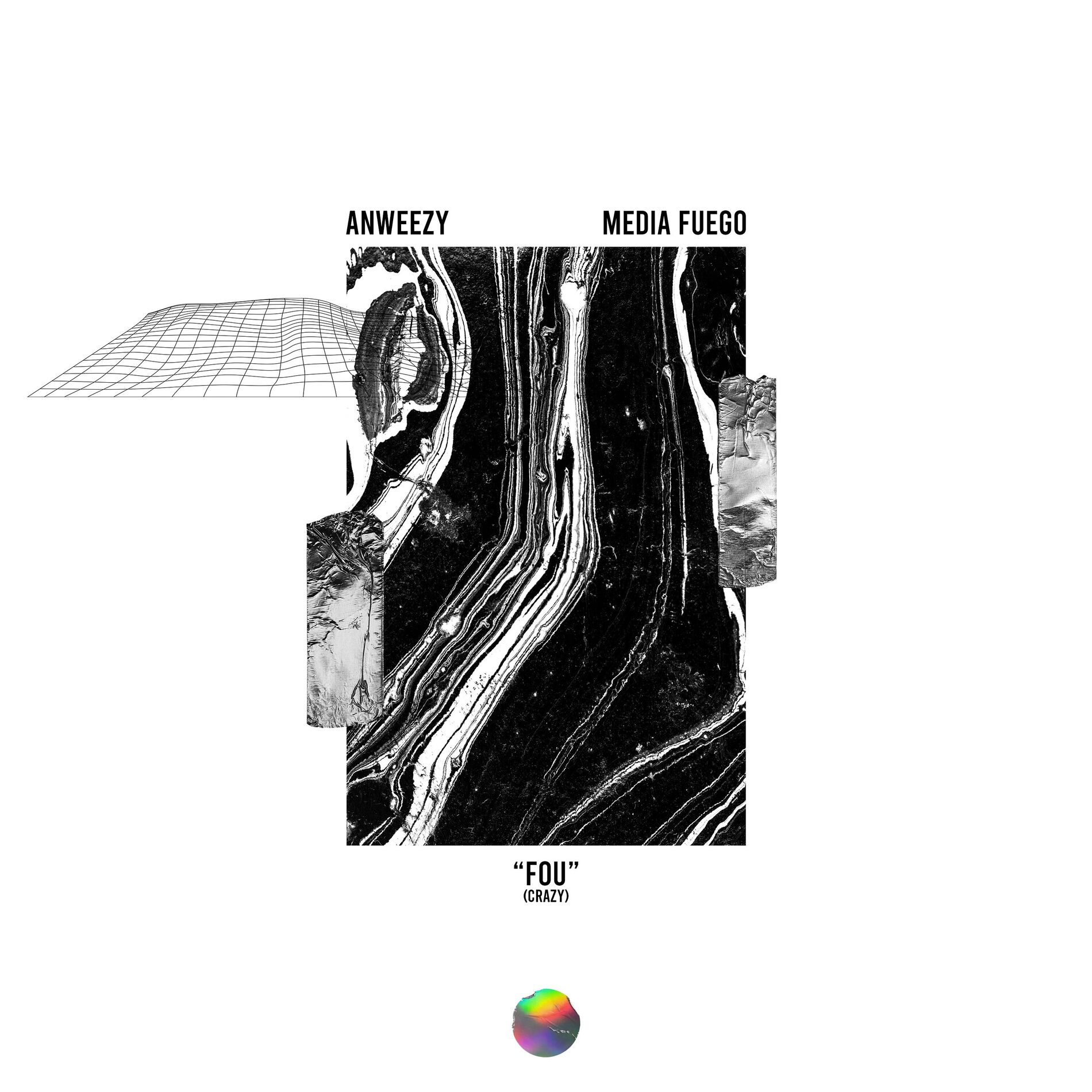 Album cover of Fou (Crazy)