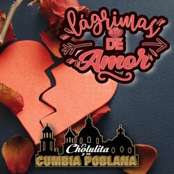 Cover of Lágrimas De Amor