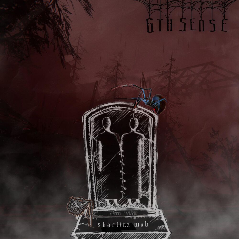 Picture of 6th Sense