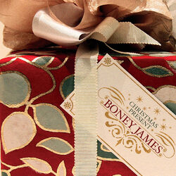 Cover of Christmas Present