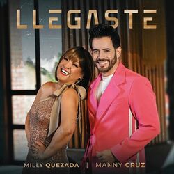 Cover of Llegaste