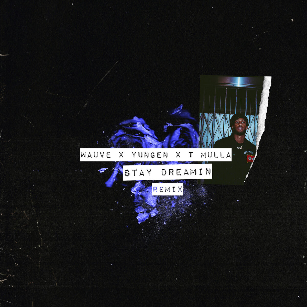 Album cover of Stay Dreamin (Remix)