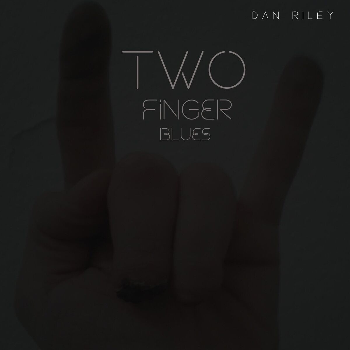 Album cover of Two Finger Blues