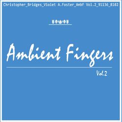 Cover of Ambient Fingers Vol. 2
