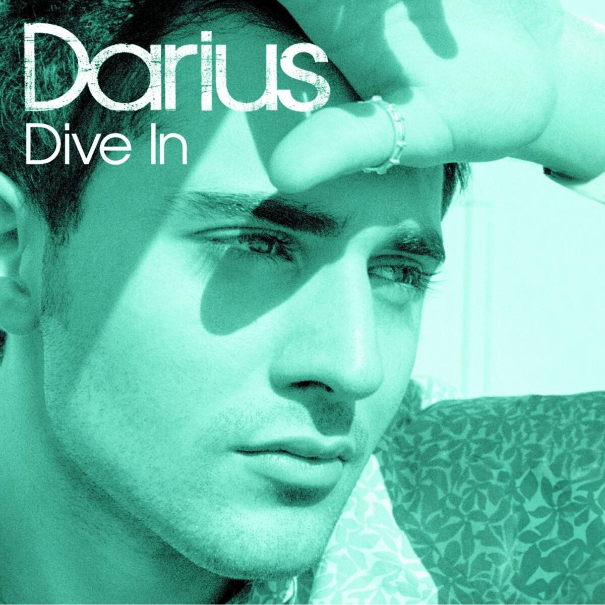 Album cover of Dive In
