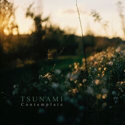 Cover of Contemplate