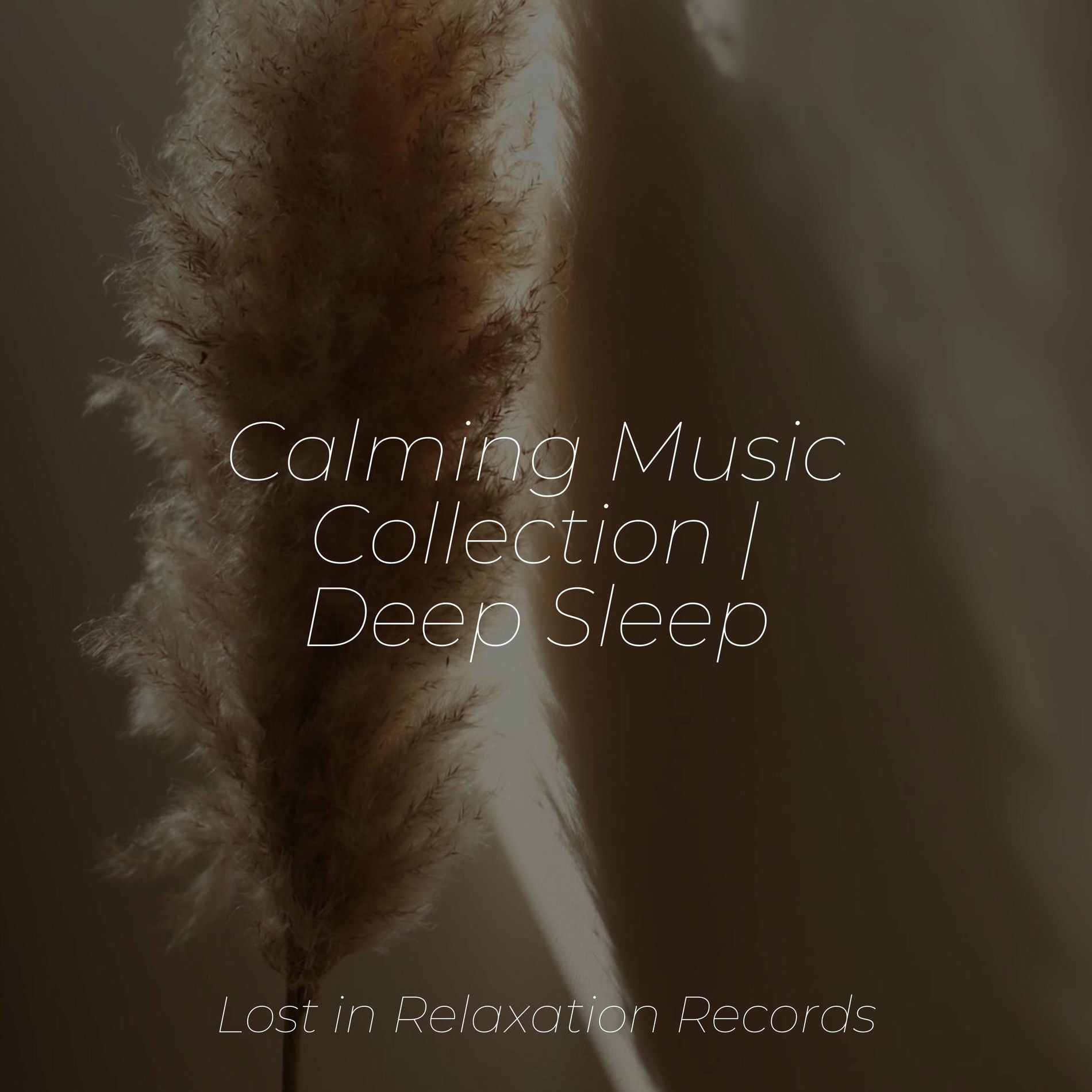 Album cover of Calming Music Collection | Deep Sleep