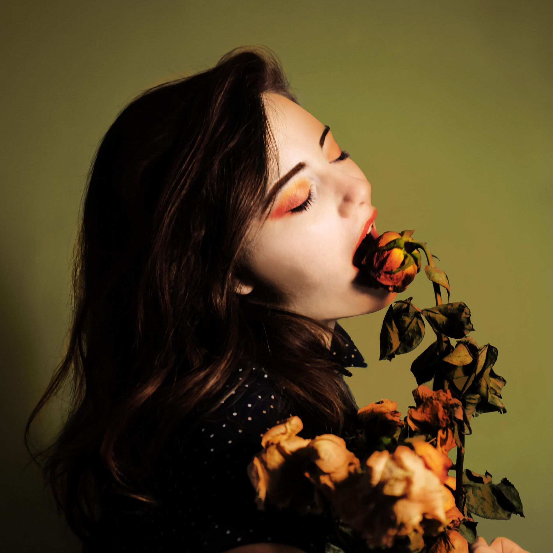 Album cover of Jardin d'Hiver
