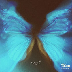 Cover of AFROSOUL