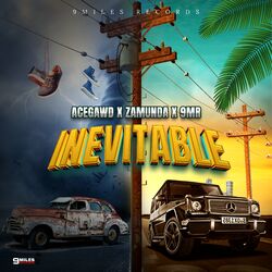 Cover of Inevitable