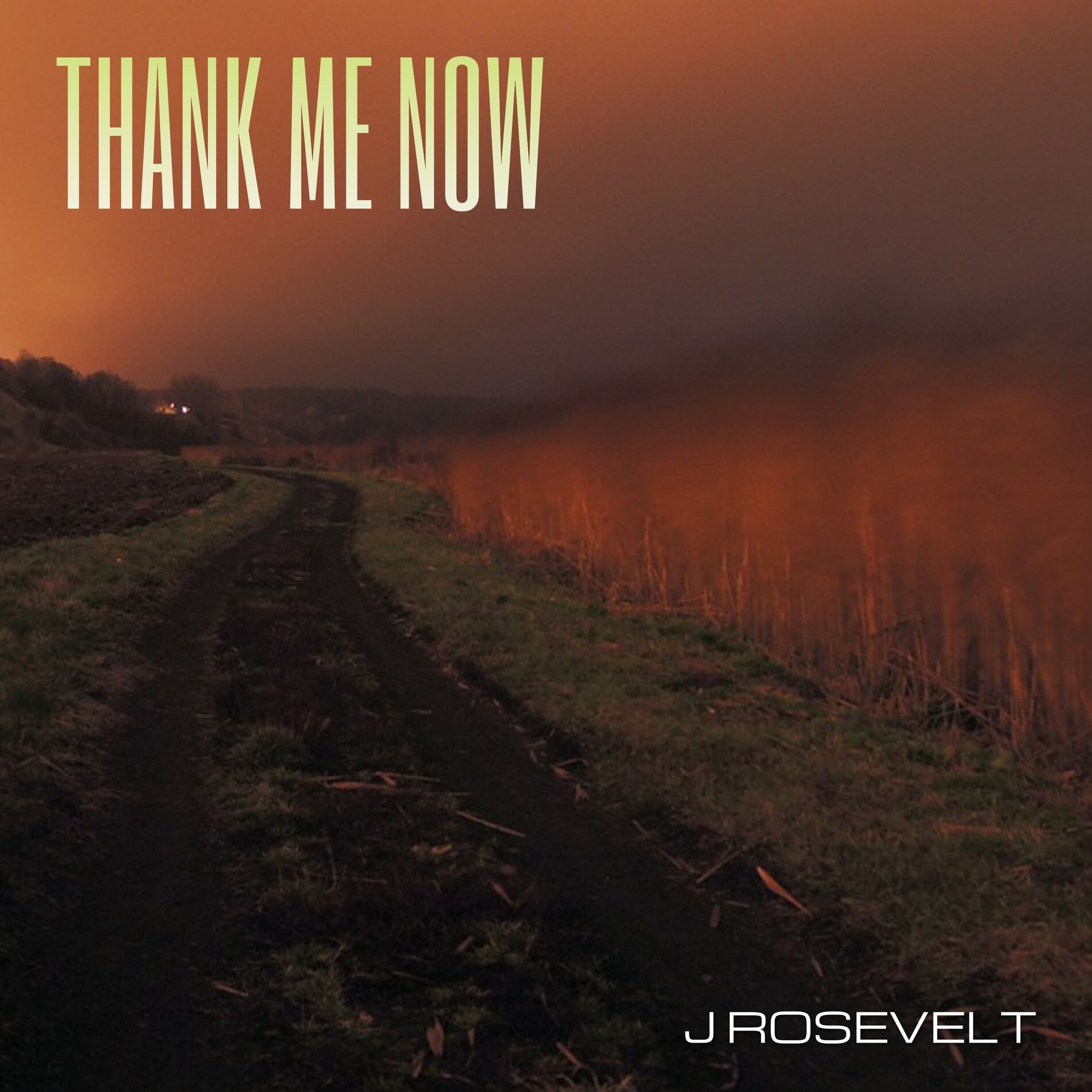 Album cover of Thank Me Now