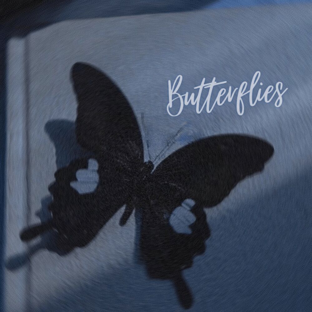 Picture of Butterflies