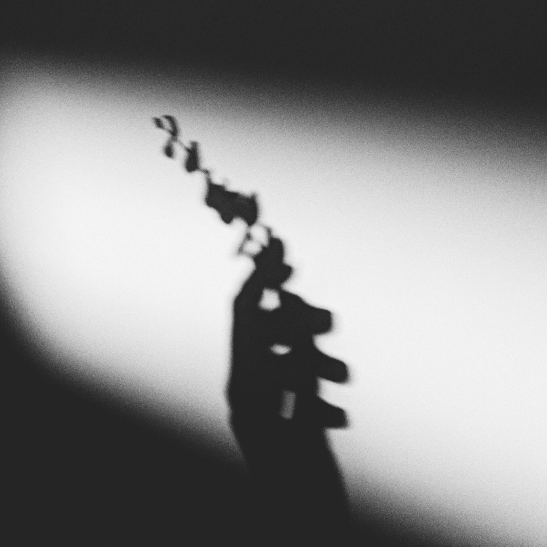 Album cover of I Swear That It Was Love // 2019