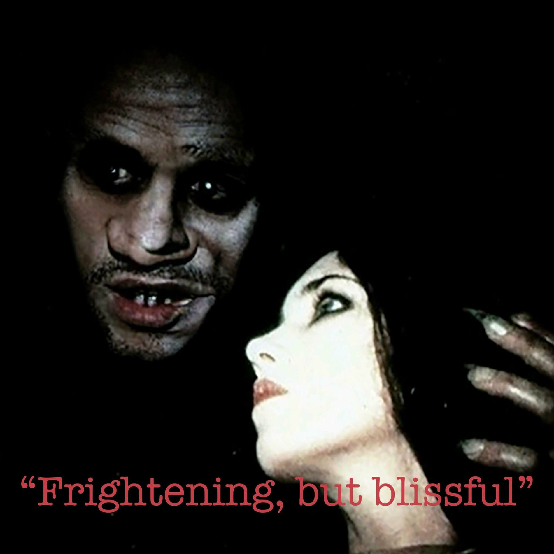 Album cover of Frightening, but blissful