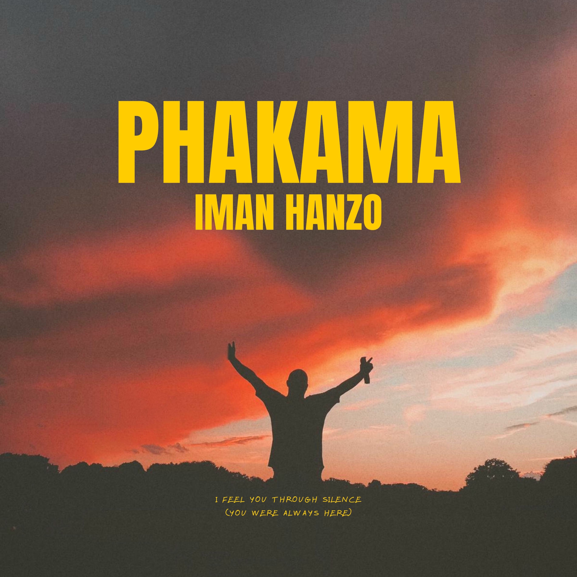 Album cover of Phakama