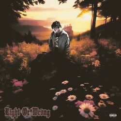 Cover of Right or Wrong