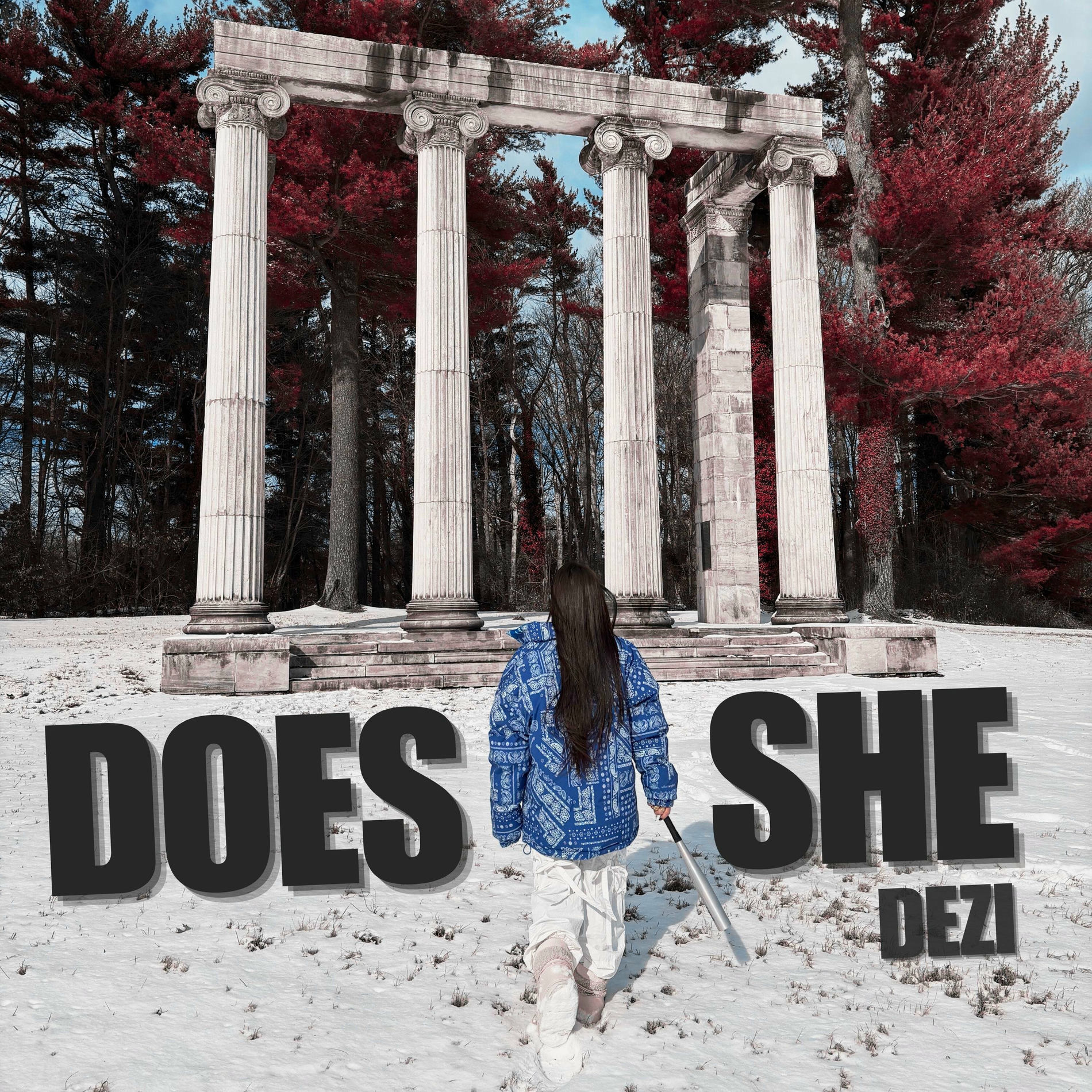 Album cover of DOES SHE
