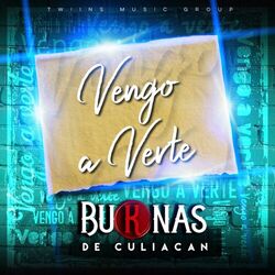 Cover of Vengo A Verte