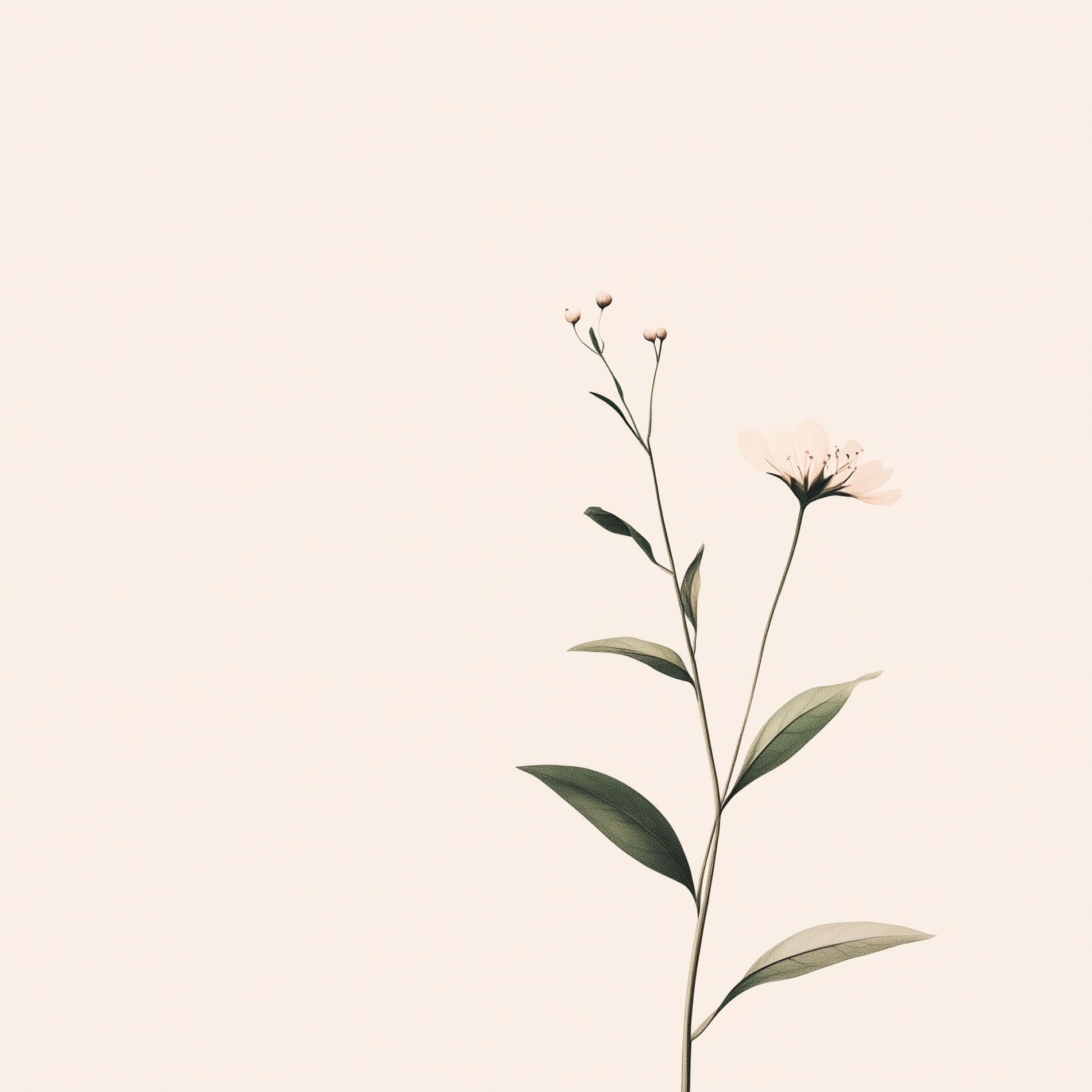 Album cover of Forever