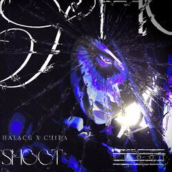Cover of Shoot