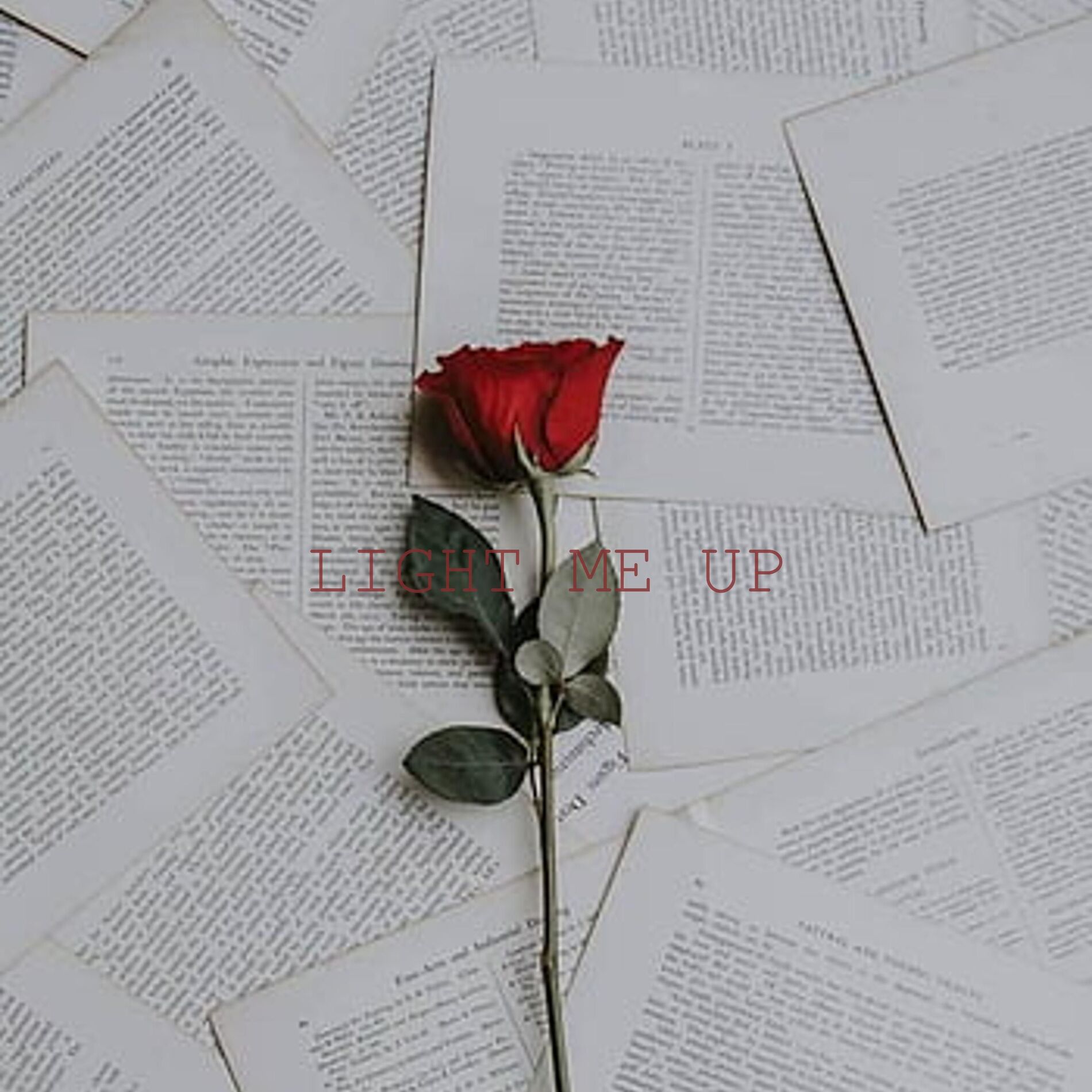 Album cover of LIGHT ME UP (feat. Microdot)