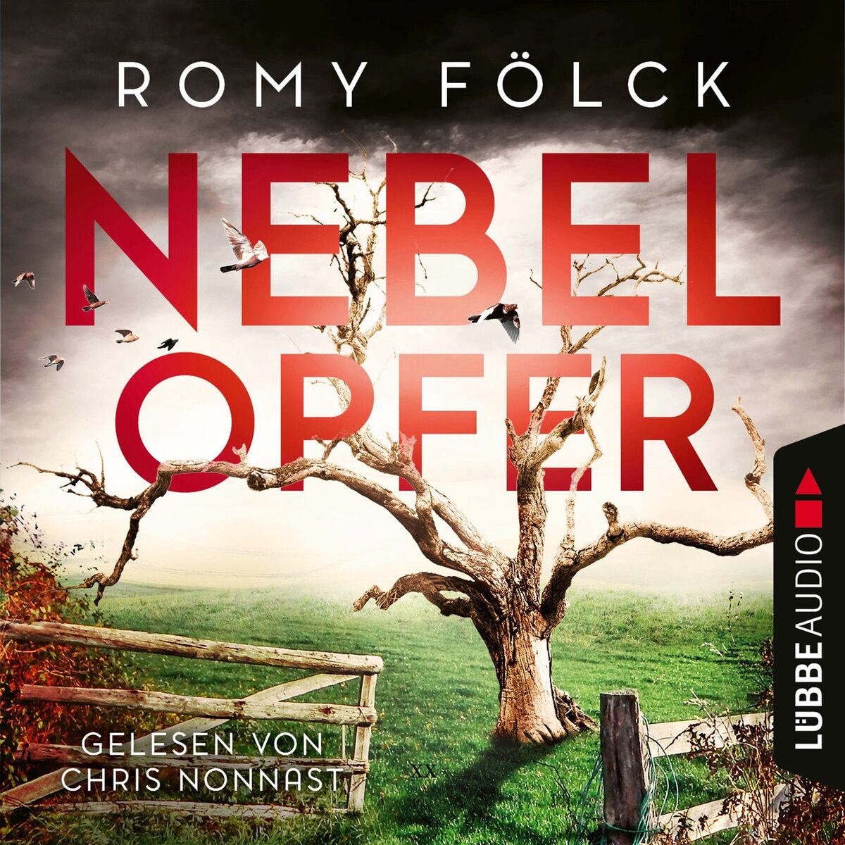 Album cover of Nebelopfer - Elbmarsch-Krimi, Teil 5 (Gekürzt)