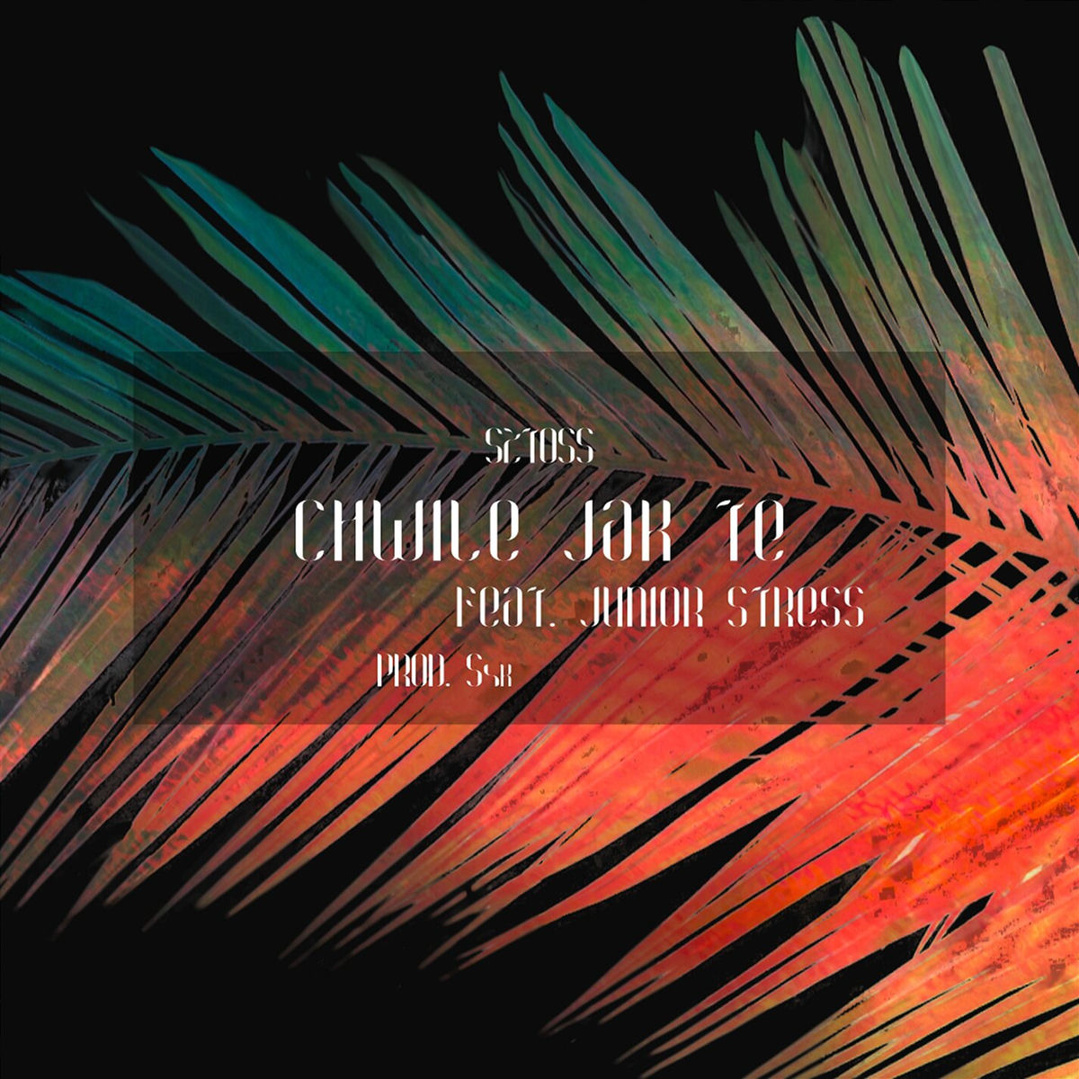 Album cover of Chwile jak te
