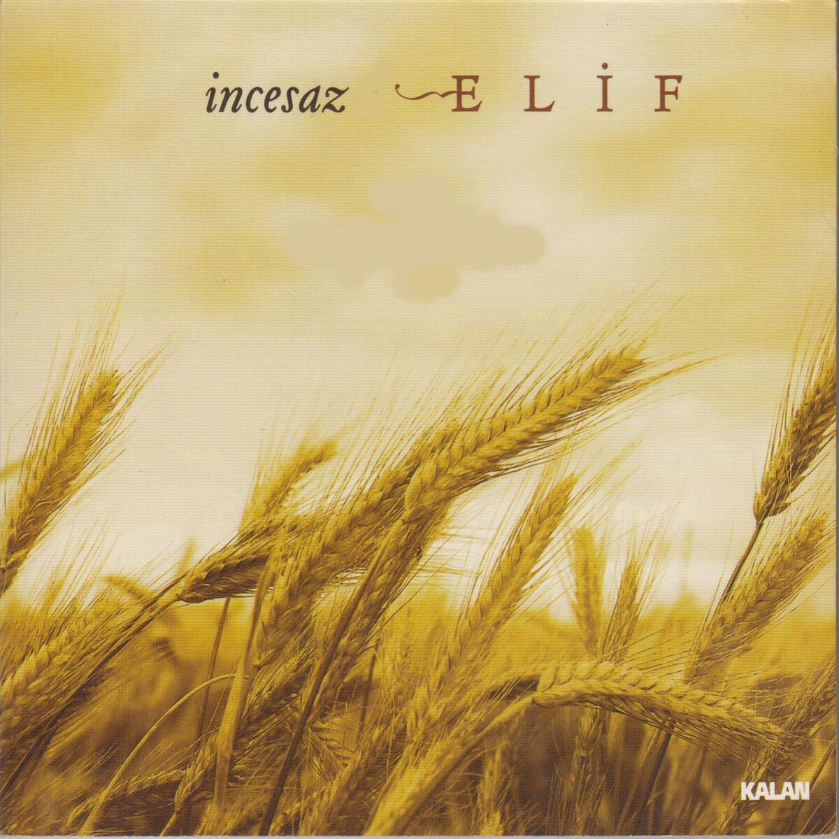 Album cover of Elif Dedim Be Dedim