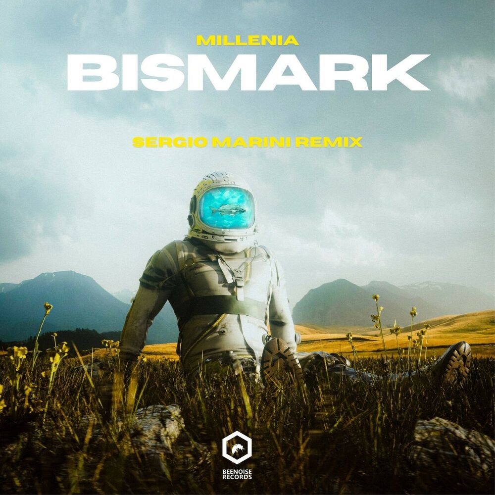 Picture of millenia (Sergio Marini Remixes)