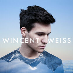 Cover of Irgendwas gegen die Stille