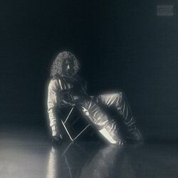 Cover of Chaise pliante (Edition Deluxe)