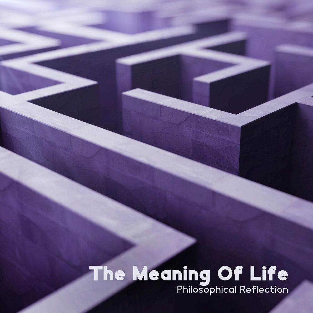 Picture of The Meaning Of Life: Philosophical Reflection