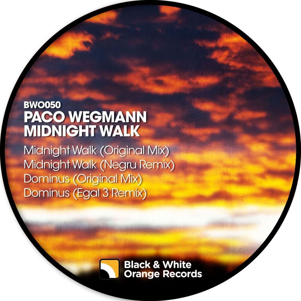 Picture of Midnight Walk