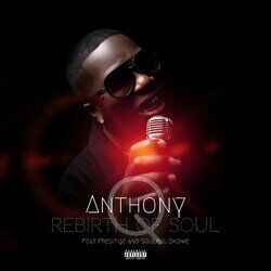 Cover of Rebirth of Soul