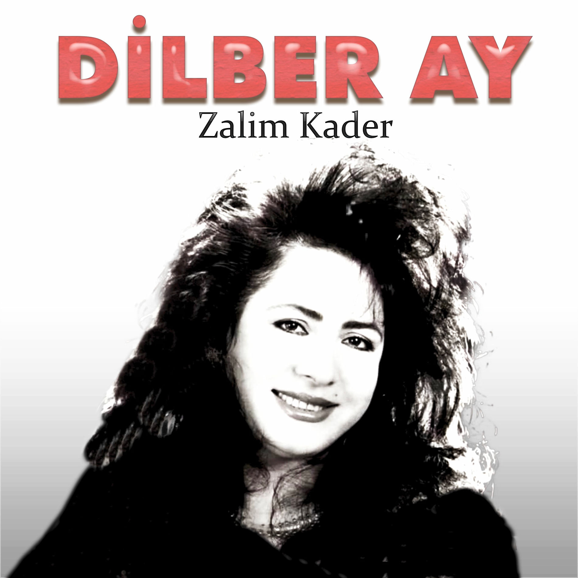 Album cover of Dilber Ay