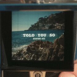 Cover of Told You So
