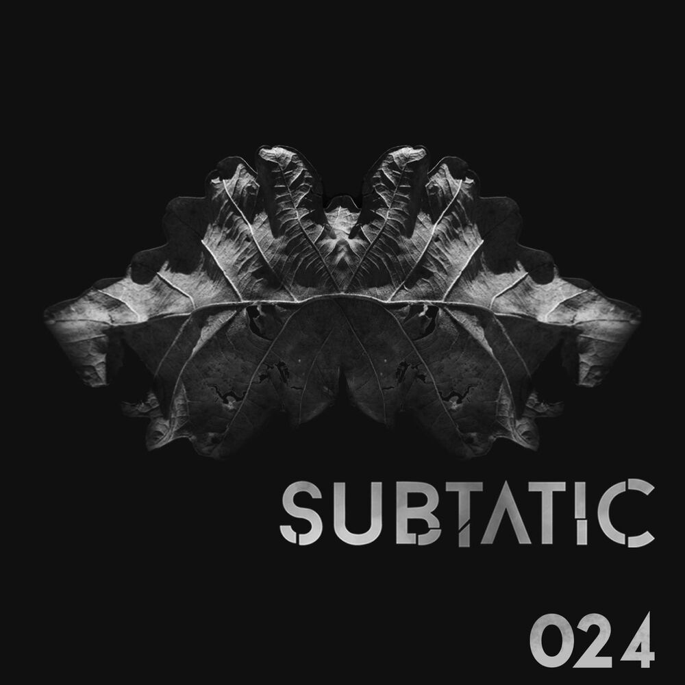 Picture of Subtatic 024