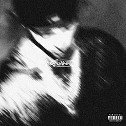 Cover of MISUNDERSTANDING
